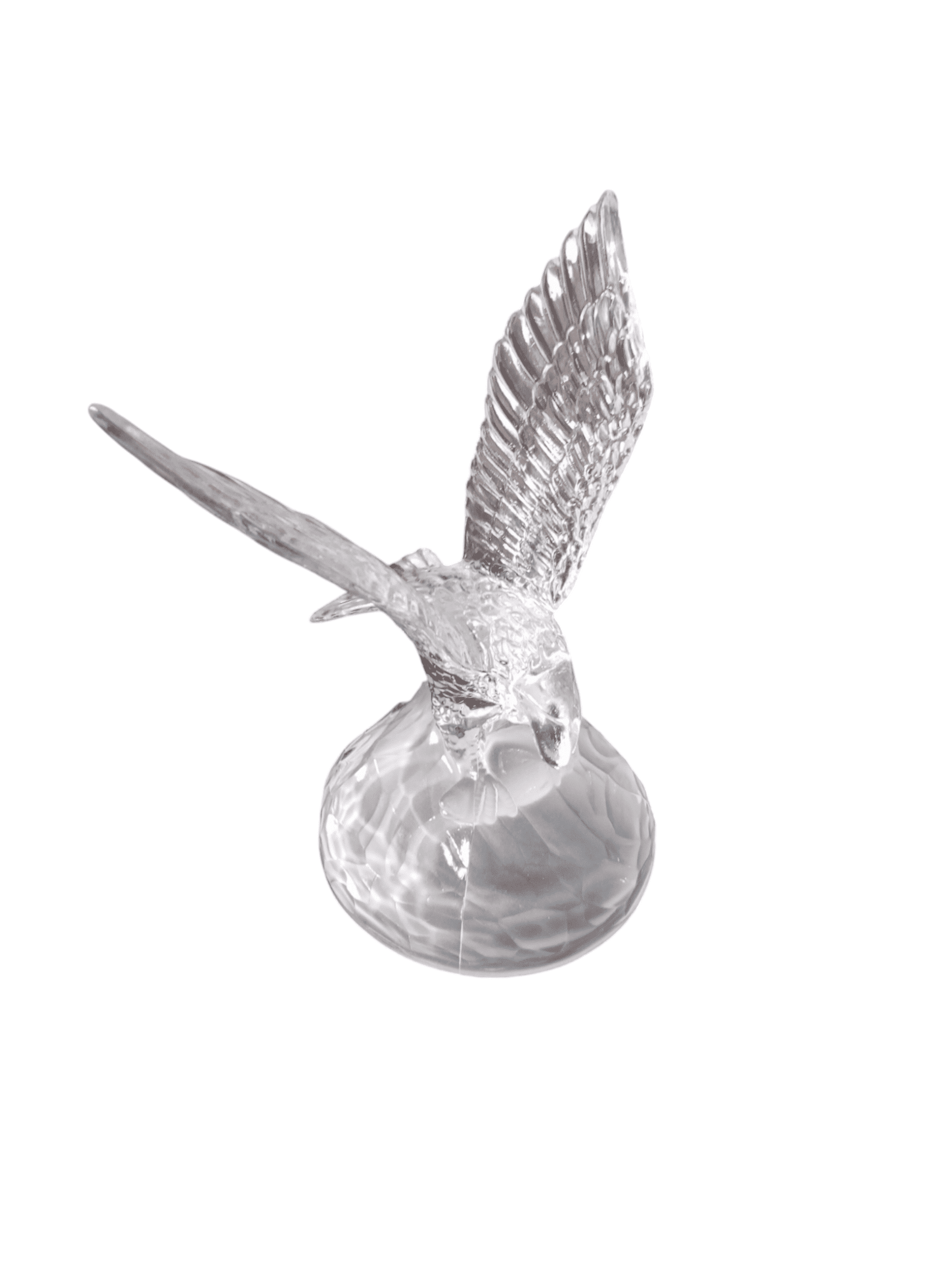 Águila de cristal - 5