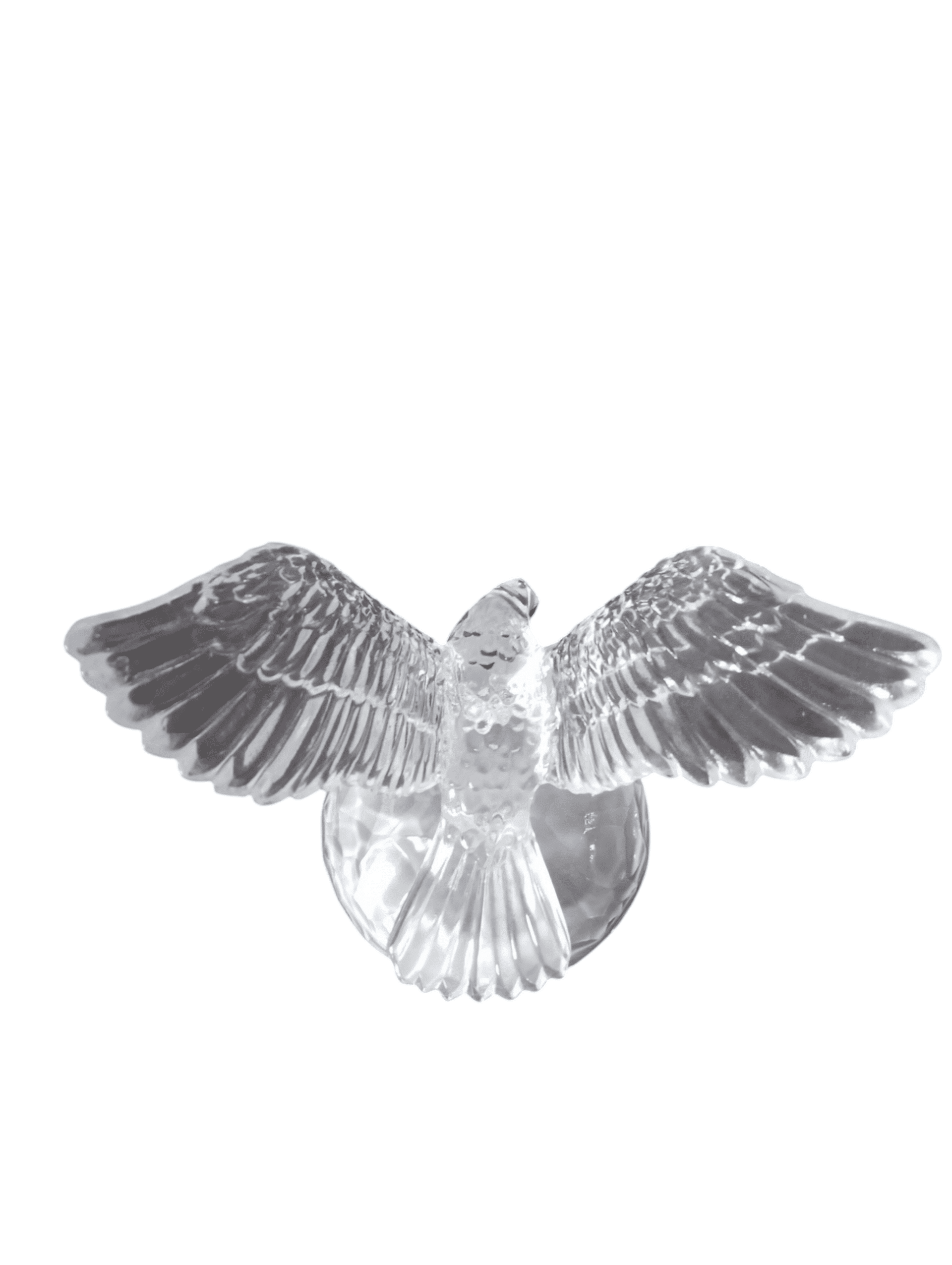 Águila de cristal - 6